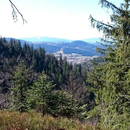 Ferienhaus Schachtenbach Bayerisch Eisenstein Buitenkant foto